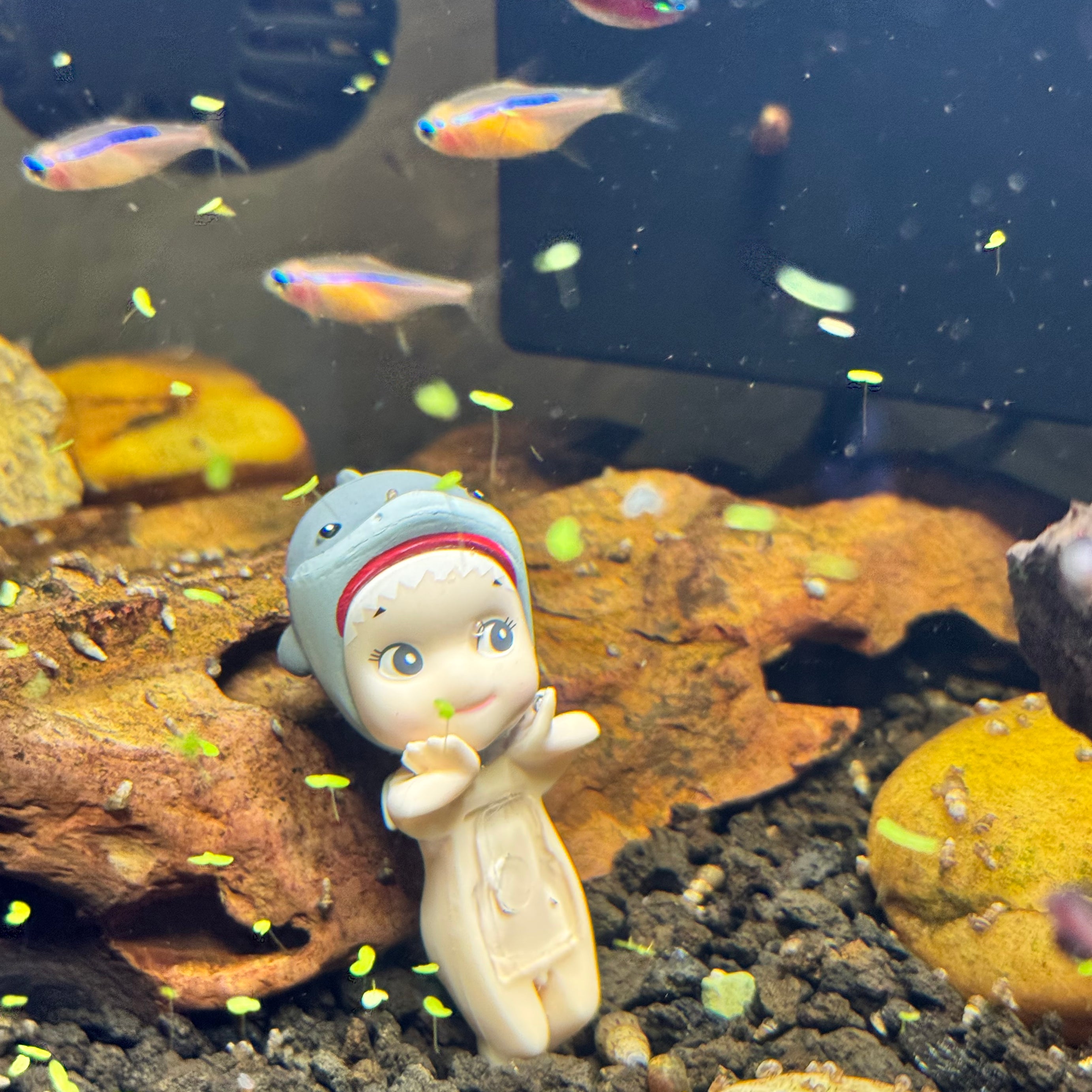 Sonny Angels -  Marine Series