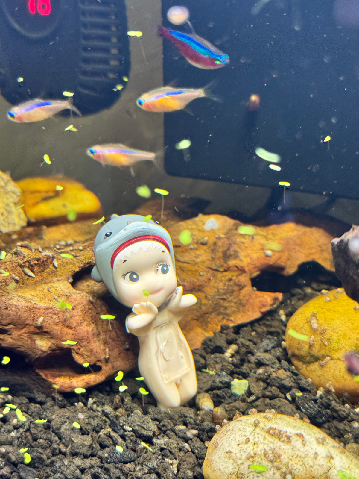 Sonny Angels -  Marine Series